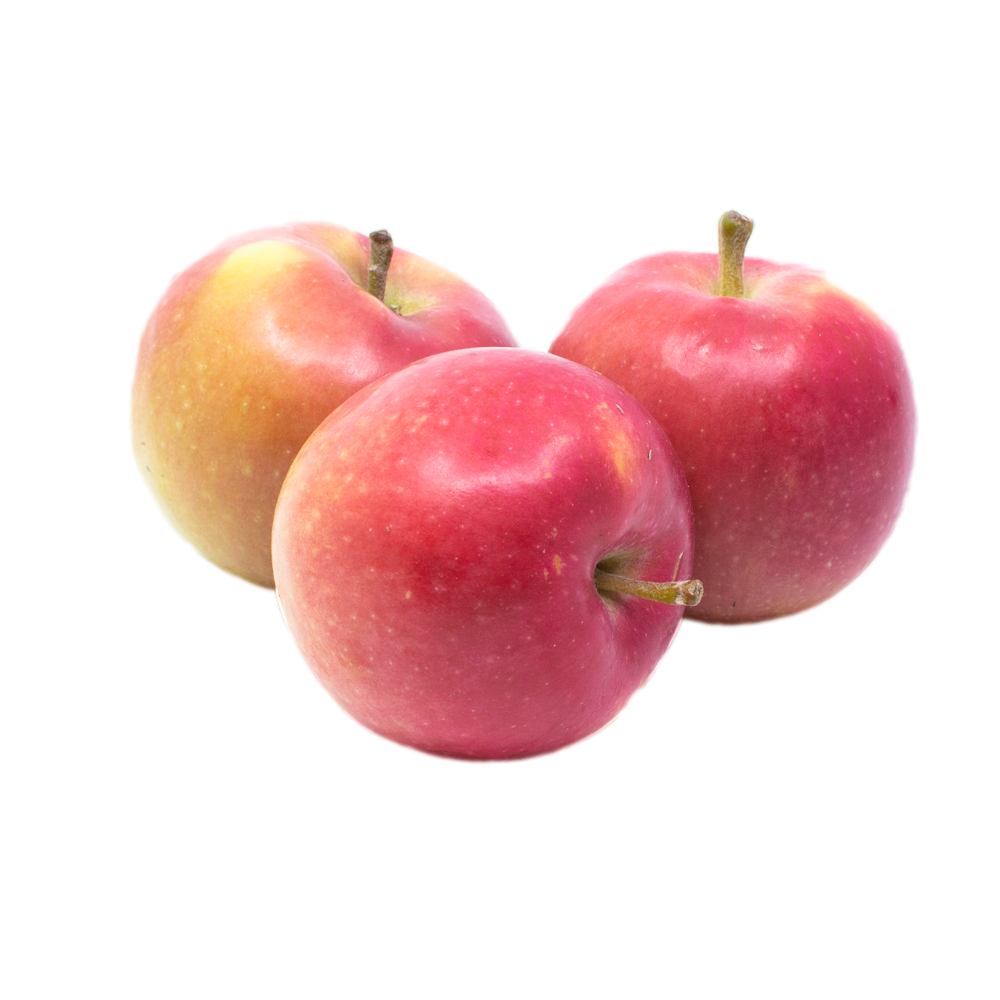 Pommes_Cortland