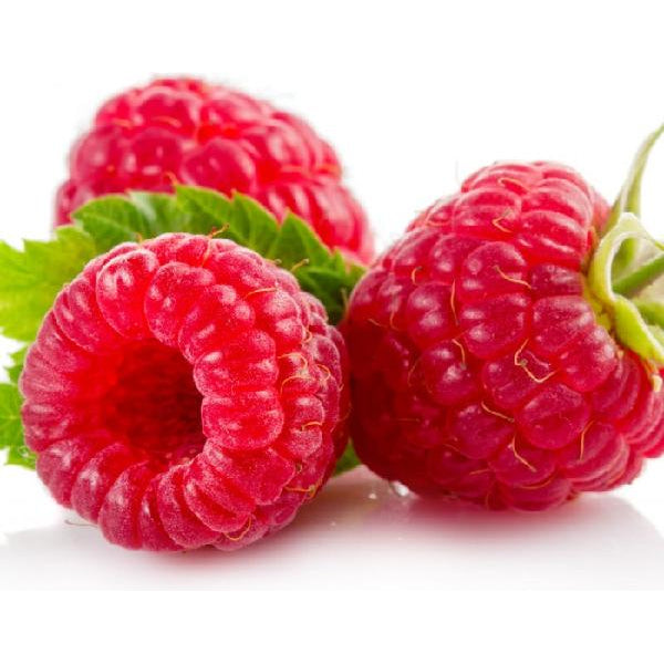 Framboises du Québec 175 g