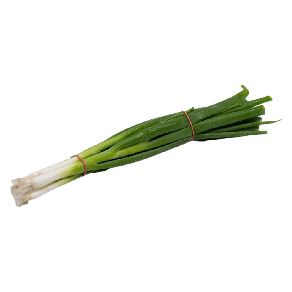 Oignon_Vert