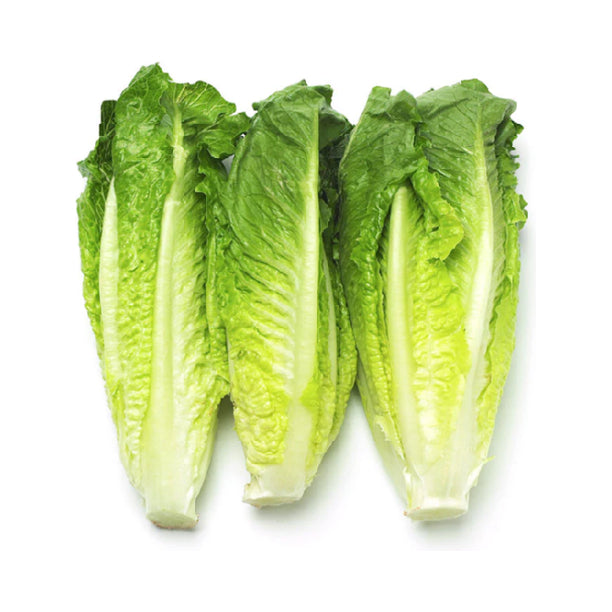 Coeurs de romaine (3) 510 g