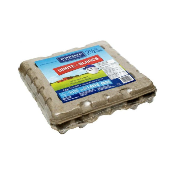 Oeufs (30) 1 kg